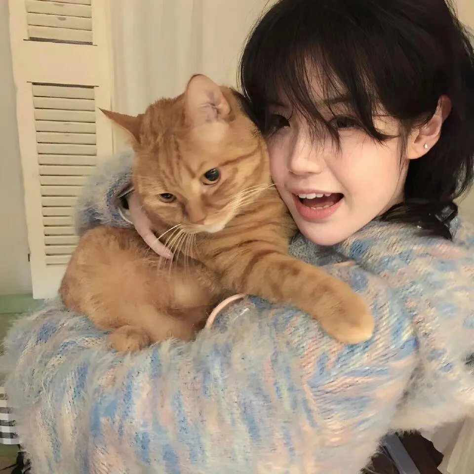 汉化日记第二季